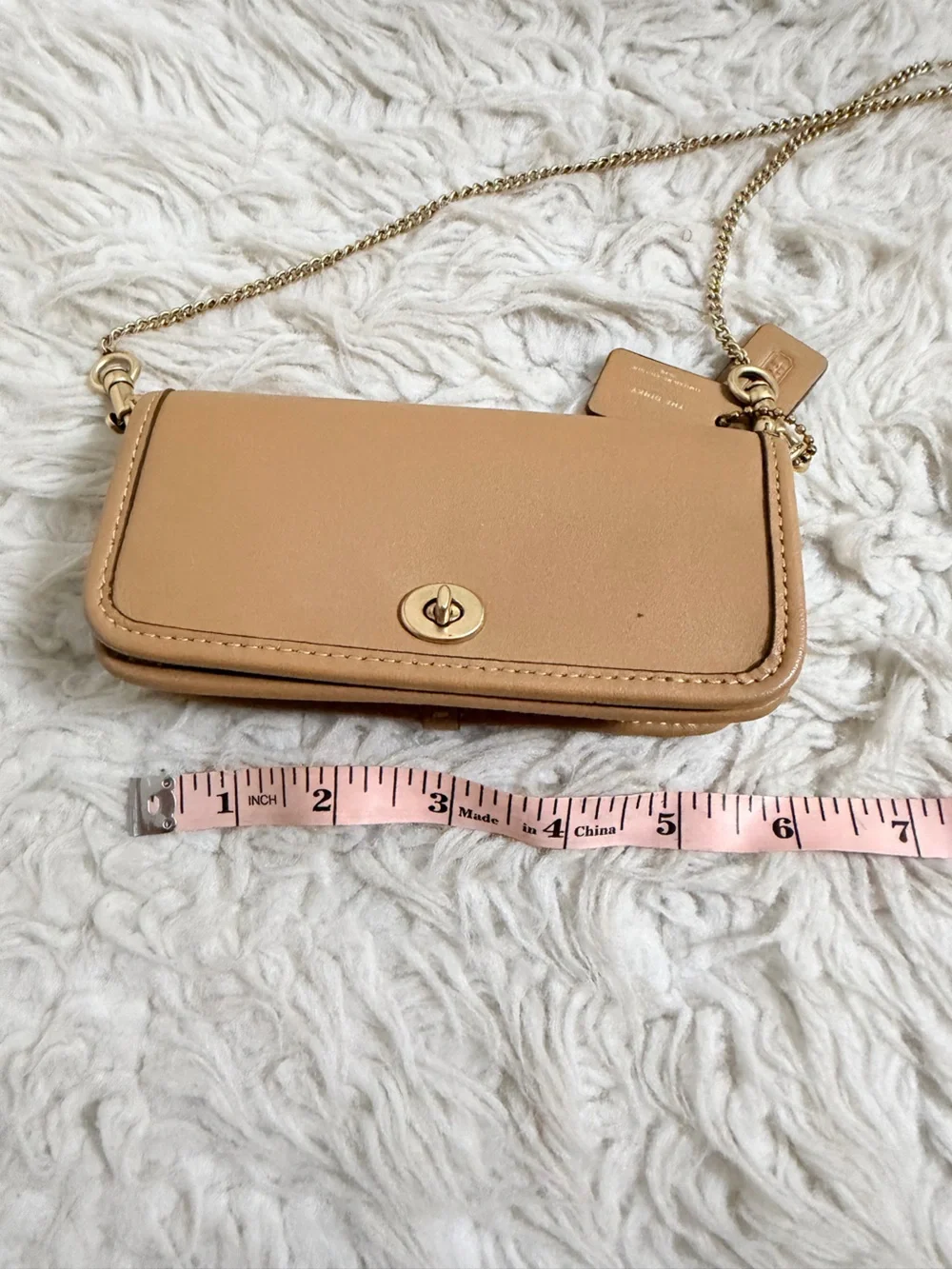 Coach Micro Dinky Bag